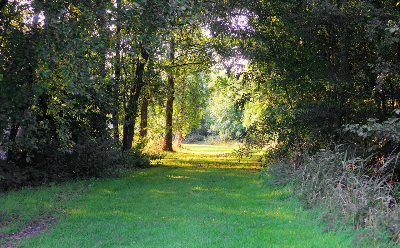 Woodpecker Lodge - Brook Meadow - Sleeps 4 Plus 2 - No Pets Market Harborough Exterior photo